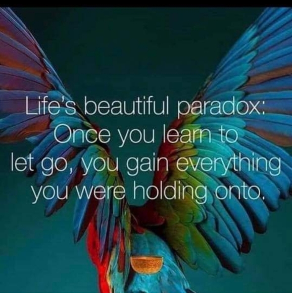 Boho Fresh Boutique 🌟 Like ❤️ this listing to bookmark my closet! - Picture 3 of 4